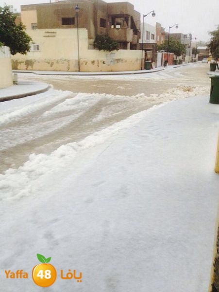 iceman lud 1213 (3).jpg